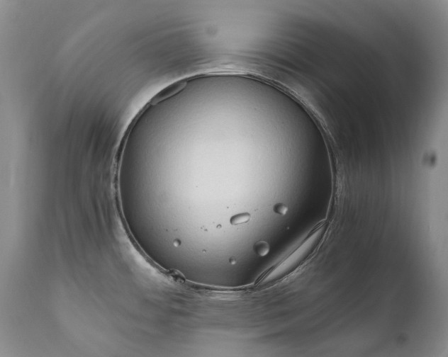 X0000110931484200907021511
