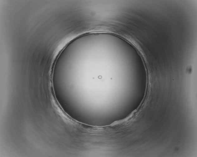 X0000110931485200907021511