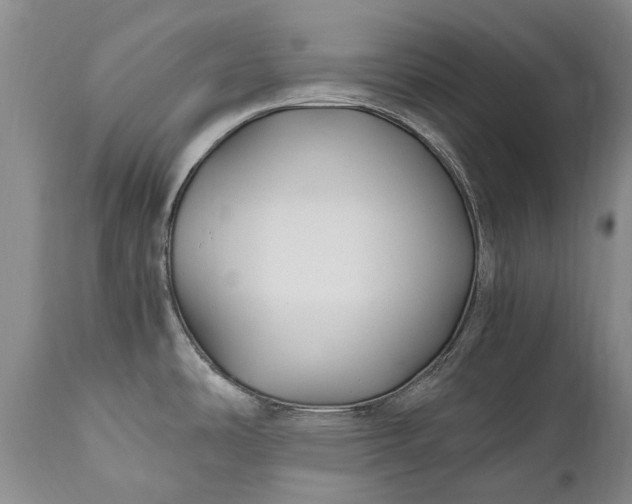 X0000110931486200907021511