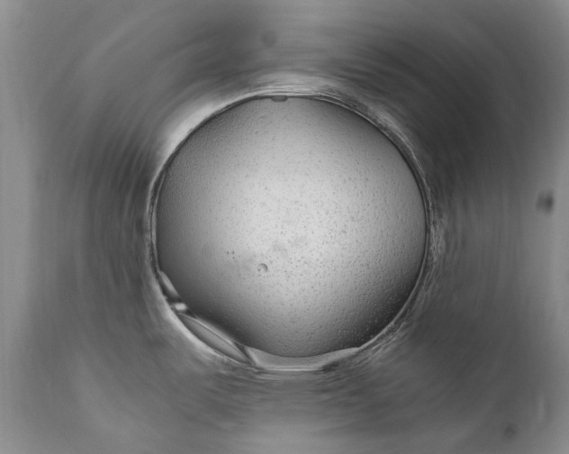 X0000110931487200907021511