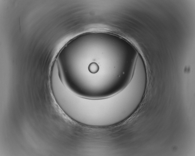 X0000110931488200907021511