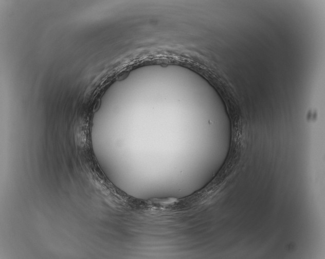 X0000110931490200907021510