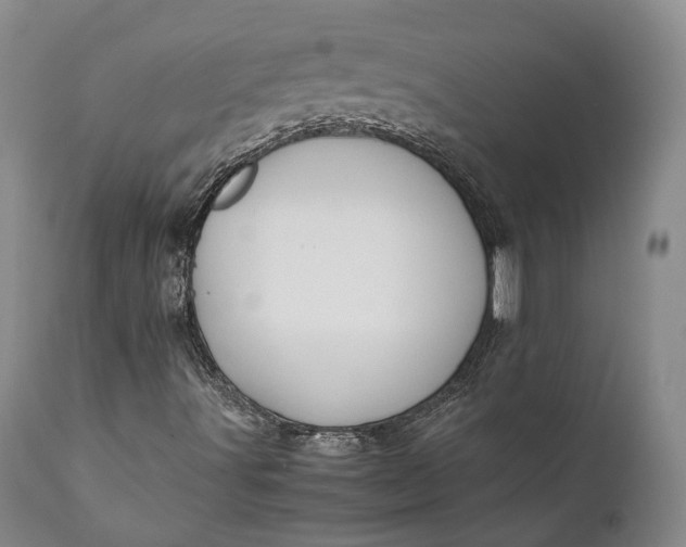 X0000110931491200907021510