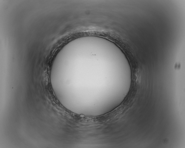 X0000110931493200907021510