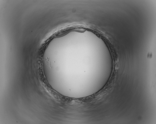 X0000110931496200907021510