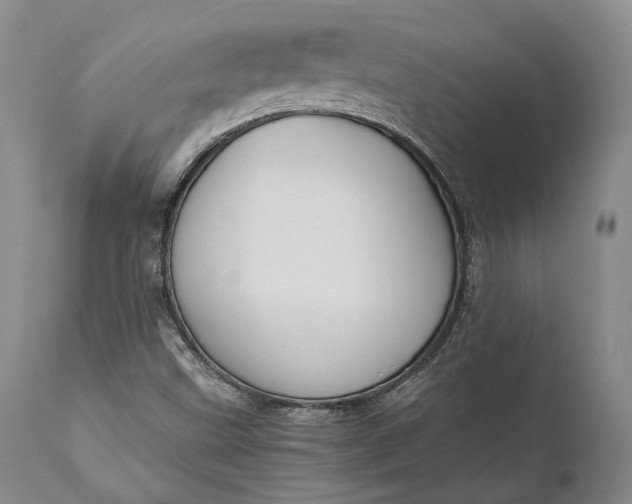 X0000110931499200907021510