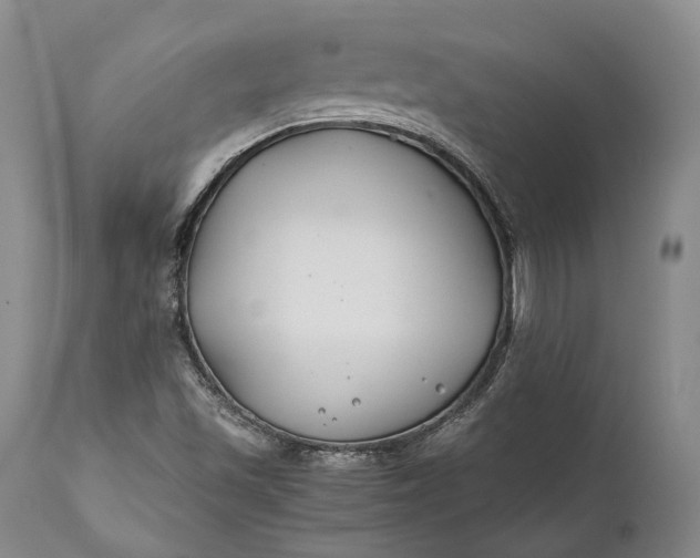 X0000110931501200907021510