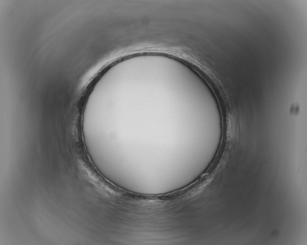 X0000110931502200907021510