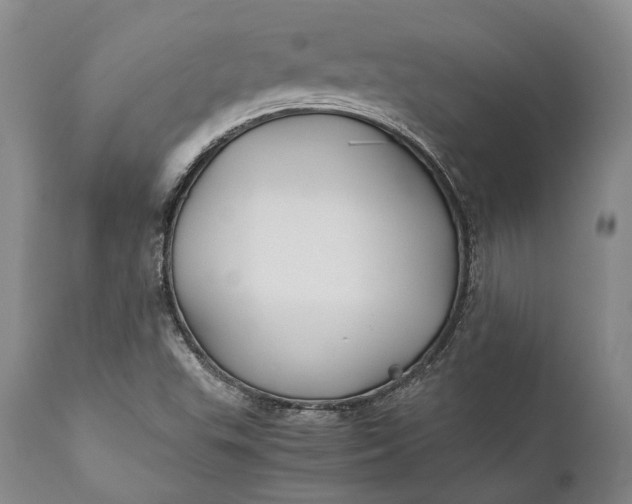 X0000110931503200907021510