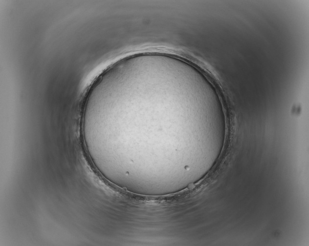 X0000110931504200907021510