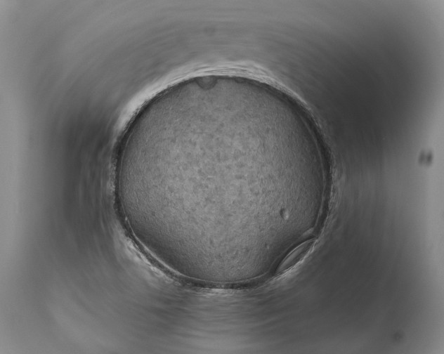 X0000110931506200907021510