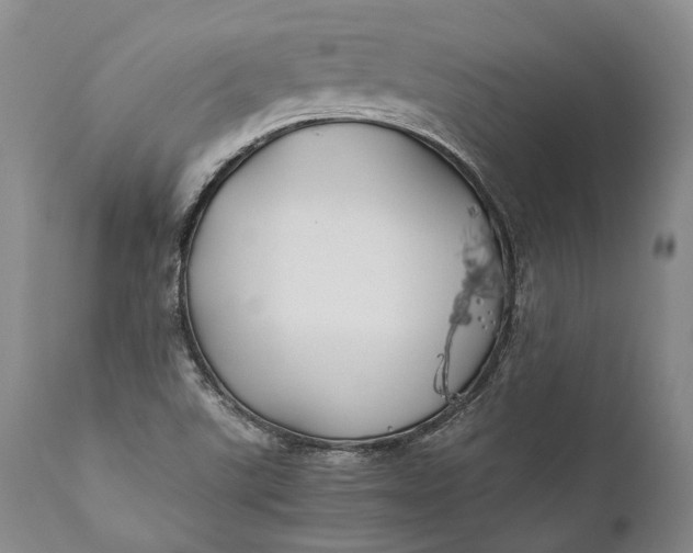 X0000110931507200907021510
