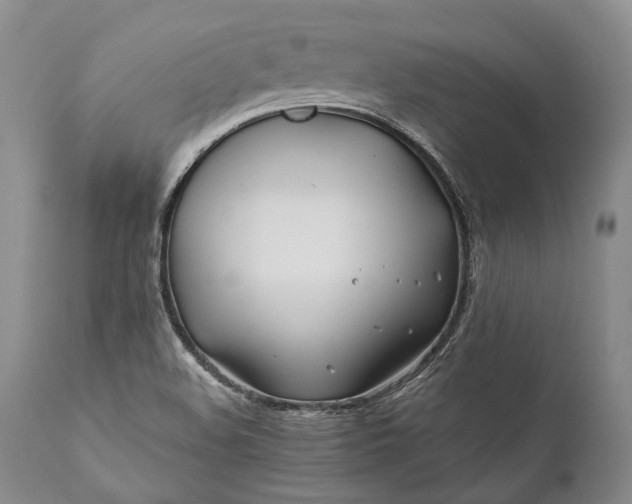 X0000110931508200907021510