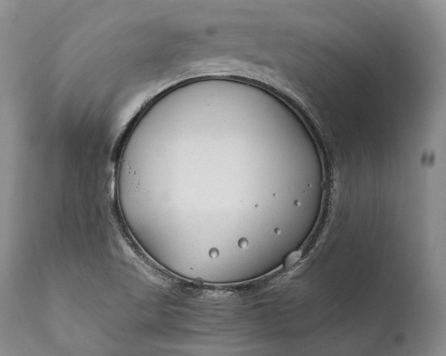 X0000110931509200907021510