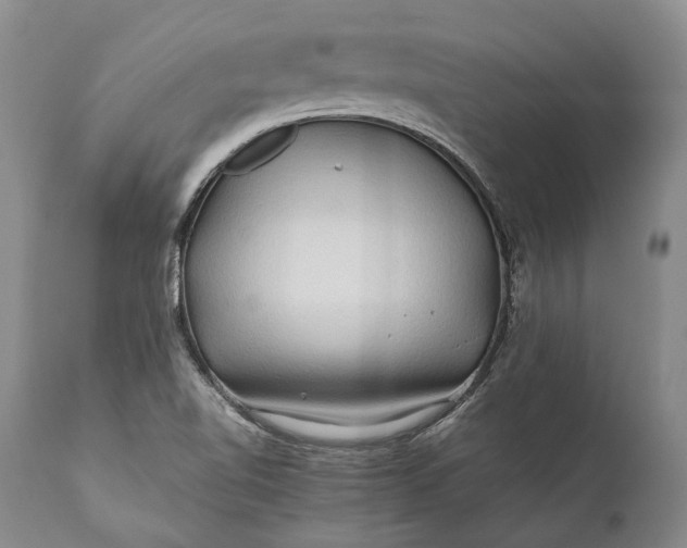 X0000110931510200907021510