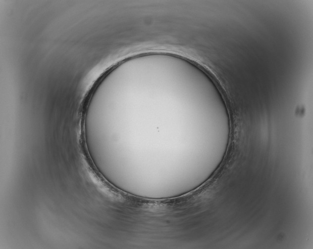X0000110931511200907021510