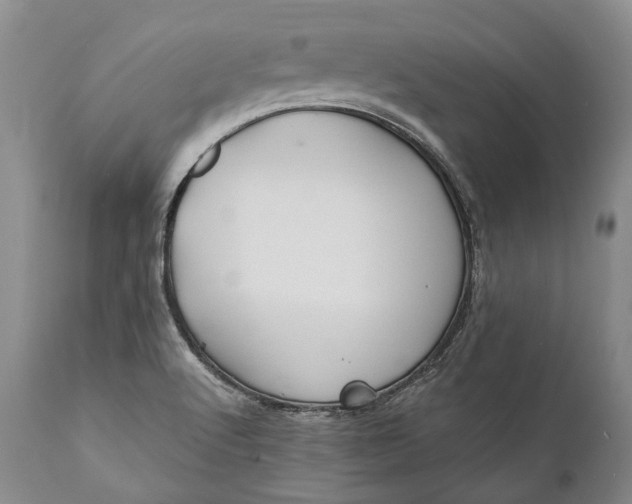 X0000110931512200907021510