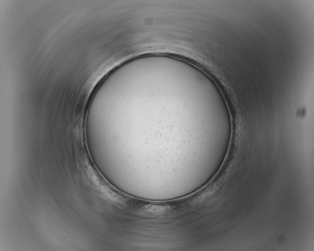X0000110931513200907021510