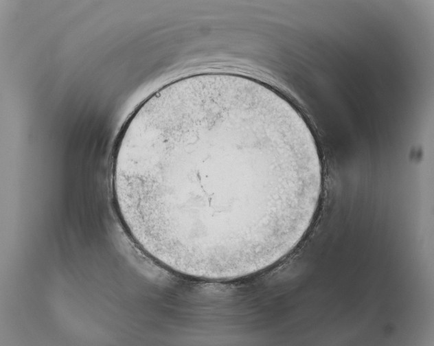 X0000110931514200907021510