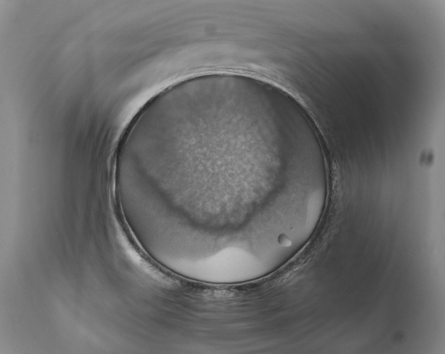 X0000110931515200907021510