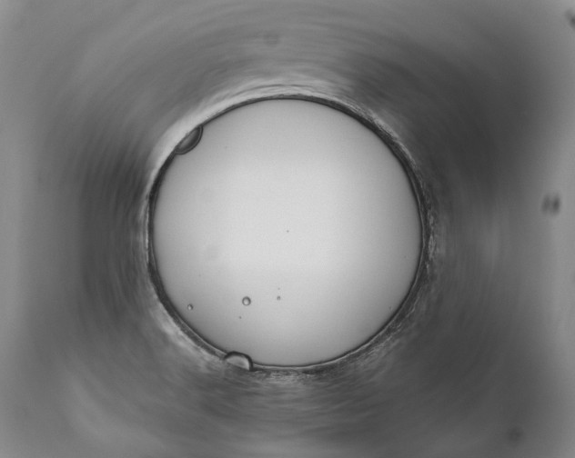 X0000110931516200907021510