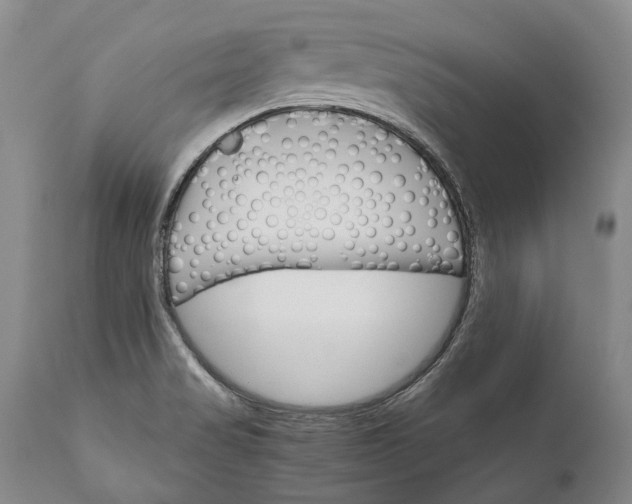 X0000110931517200907021510