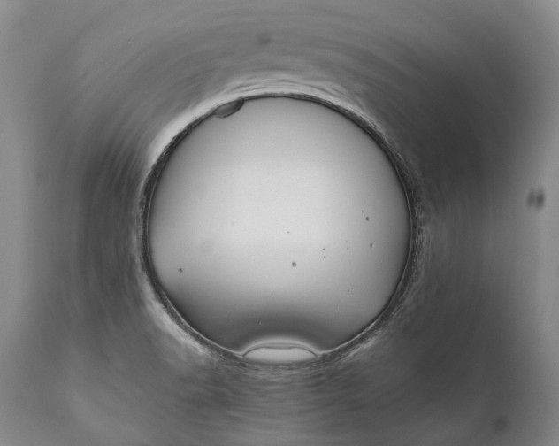 X0000110931518200907021510