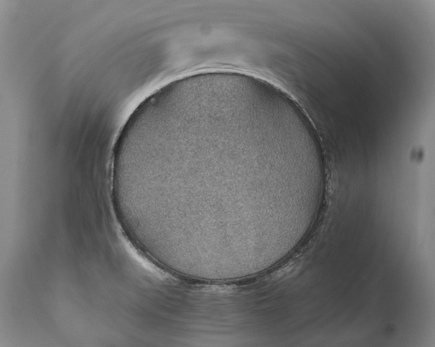 X0000110931519200907021511