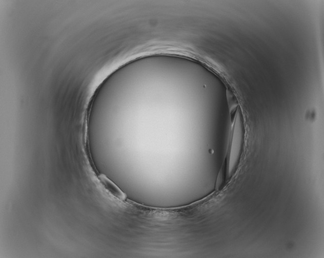 X0000110931520200907021511