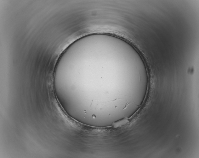 X0000110931521200907021511