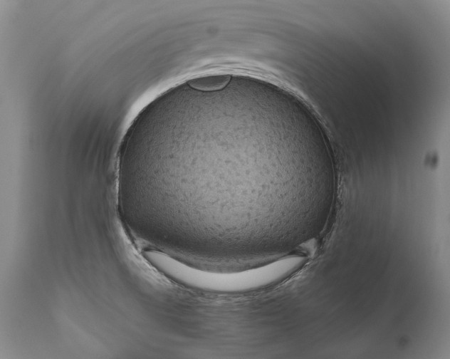 X0000110931522200907021511