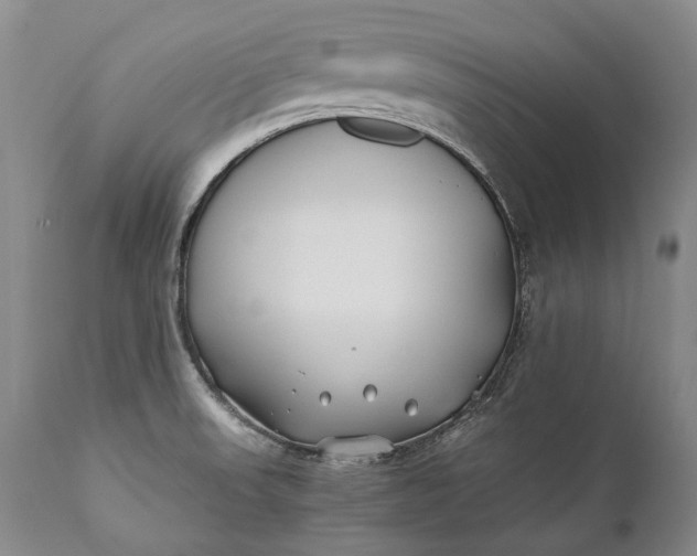 X0000110931523200907021511