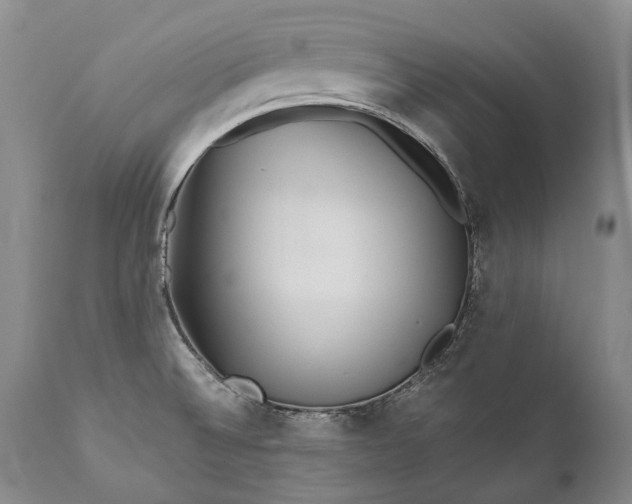 X0000110931524200907021511