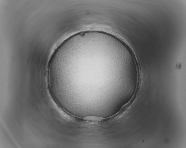 X0000110931525200907021511