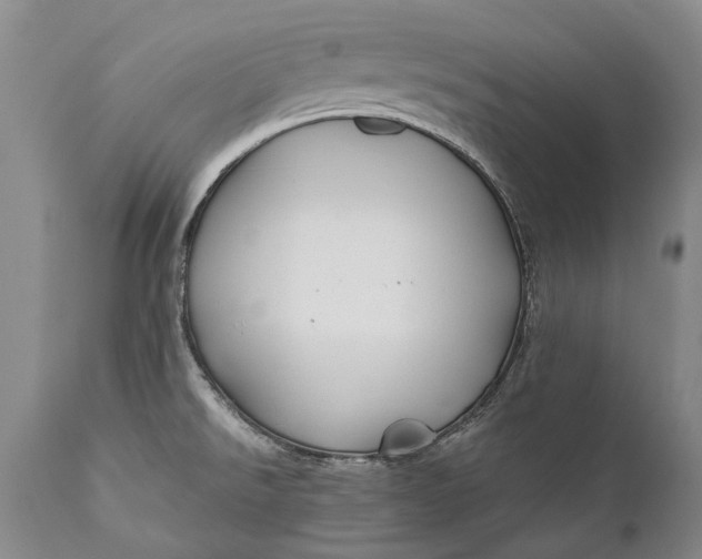 X0000110931526200907021511