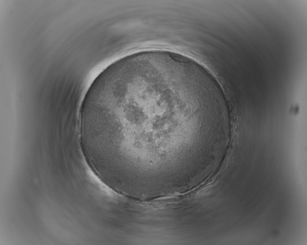 X0000110931527200907021511