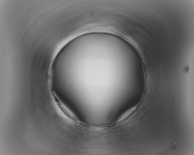 X0000110931528200907021511