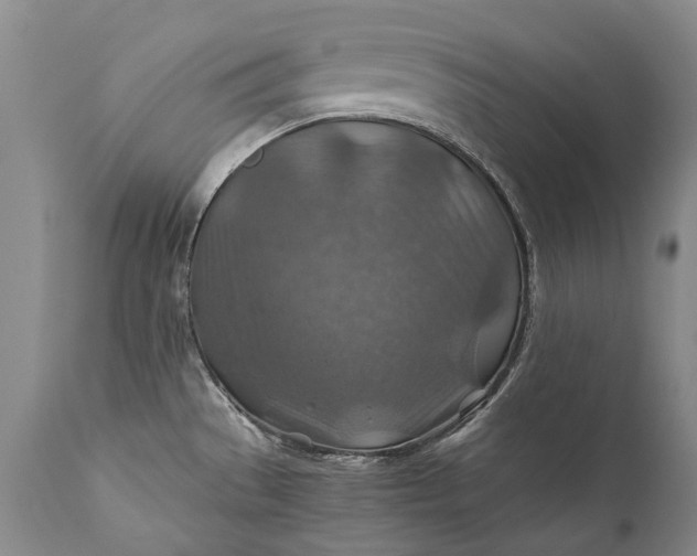 X0000110931529200907021511