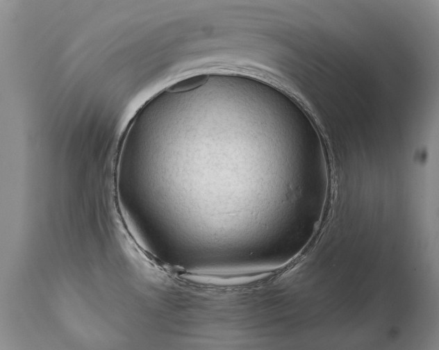 X0000110931530200907021511