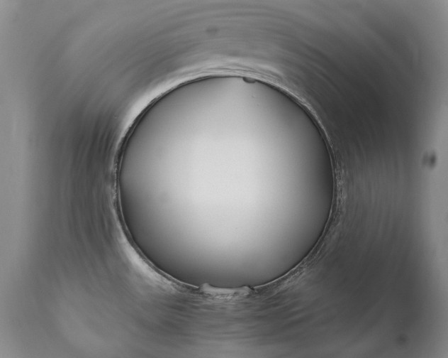 X0000110931531200907021511