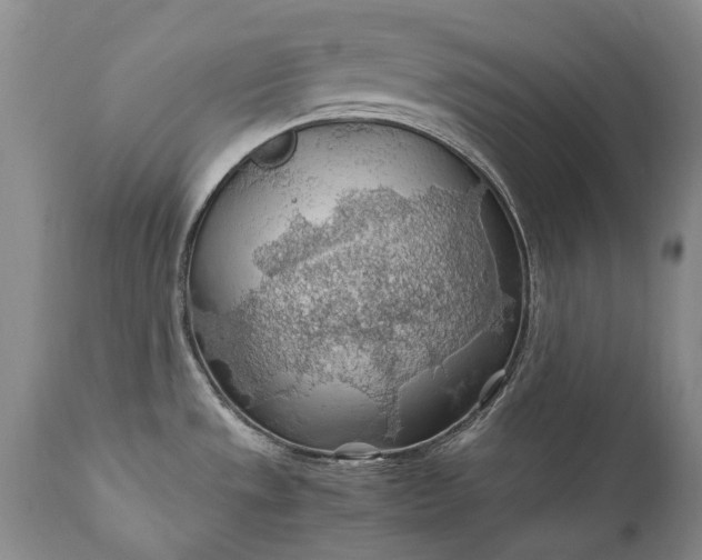 X0000110931533200907021511