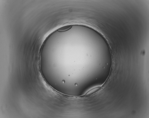 X0000110931534200907021511