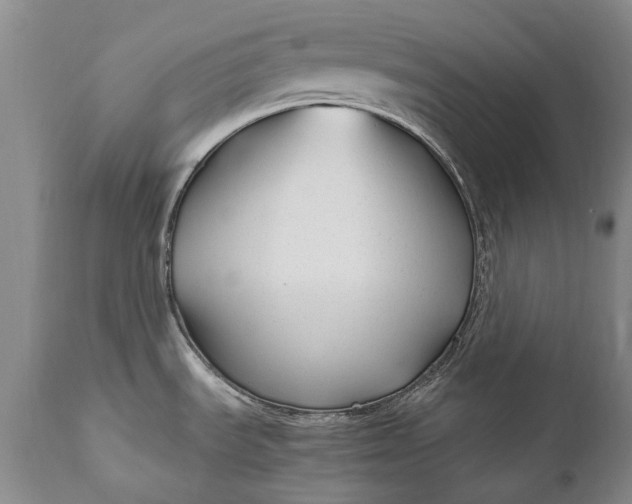 X0000110931535200907021511