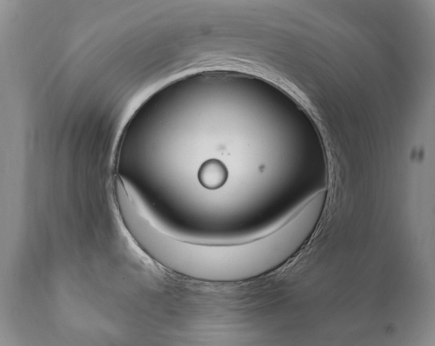 X0000110931536200907021511