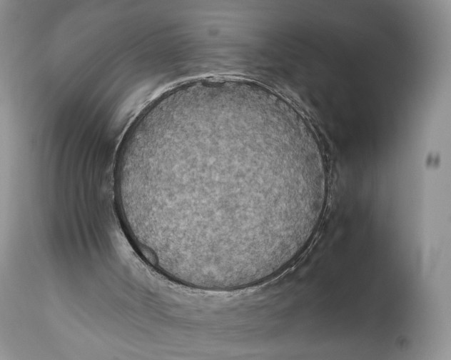 X0000110930002200907091532