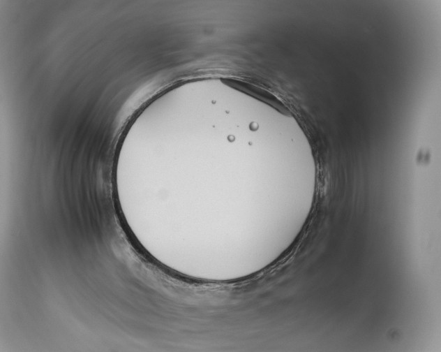 X0000110930004200907091532