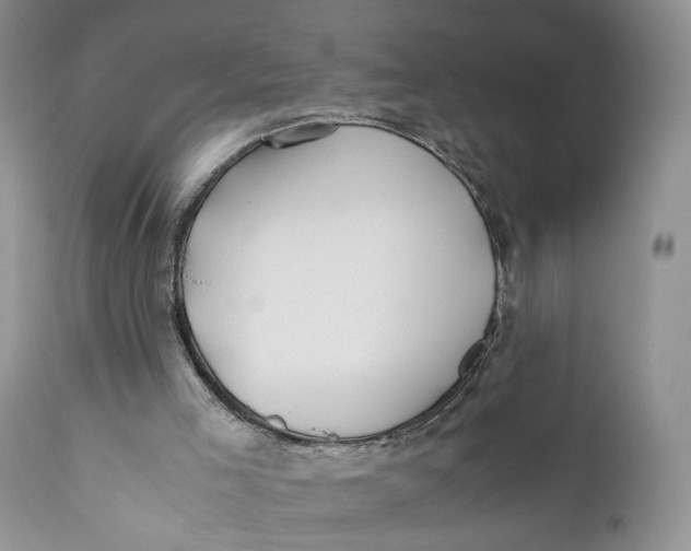X0000110930005200907091532