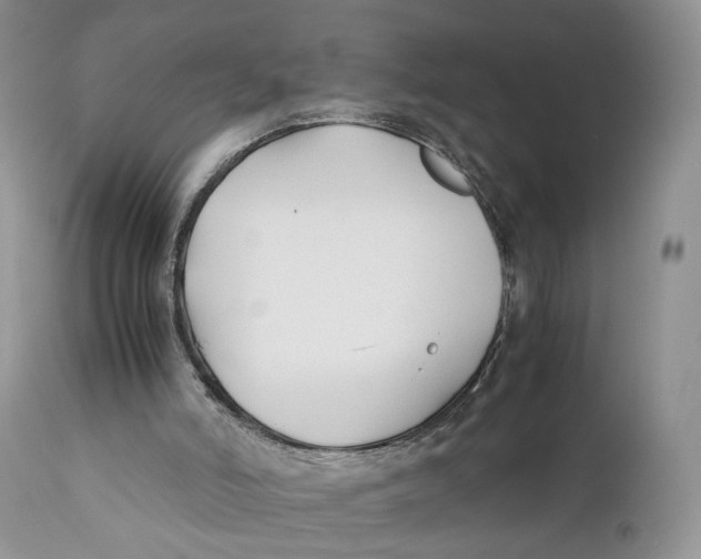 X0000110930006200907091532