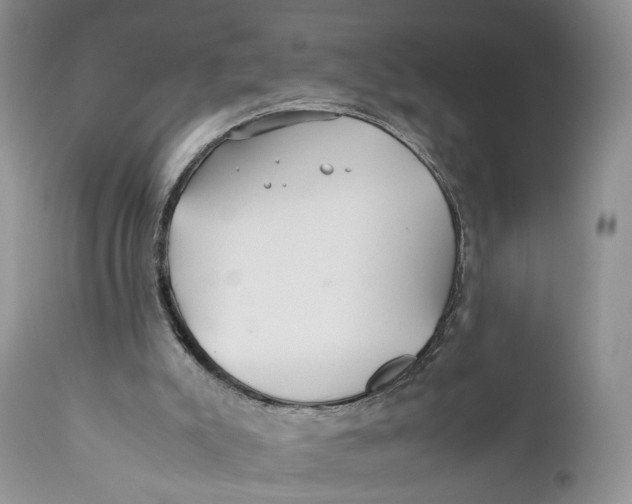 X0000110930007200907091532