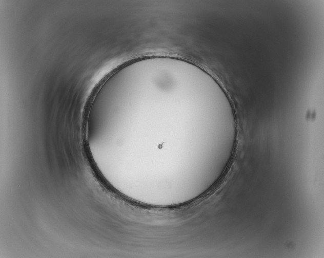 X0000110930008200907091532